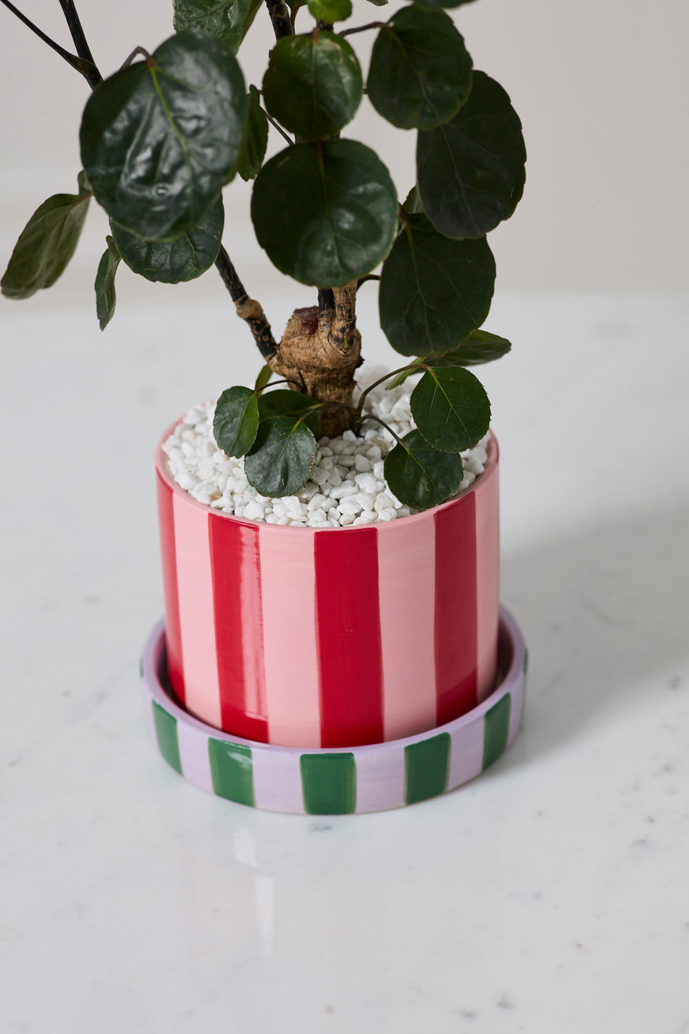 Joyelle Pot with Saucer Set of 4 By Accent Decor | Planters, Troughs & Cachepots | Modishstore - 6