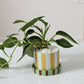 Joyelle Pot with Saucer Set of 4 By Accent Decor | Planters, Troughs & Cachepots | Modishstore - 9