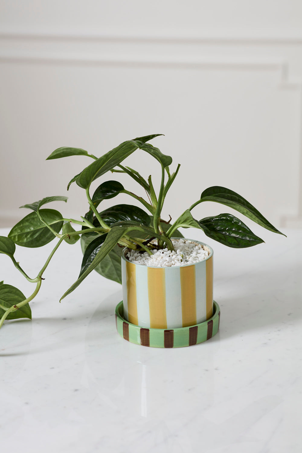 Joyelle Pot with Saucer Set of 4 By Accent Decor | Planters, Troughs & Cachepots | Modishstore - 9