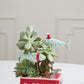 Festive Fish Plant Sticks Set of 6 By Accent Decor | Planters, Troughs & Cachepots | Modishstore - 7