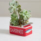 Sardine Tin Planter Set of 4 By Accent Decor | Planters, Troughs & Cachepots | Modishstore - 8