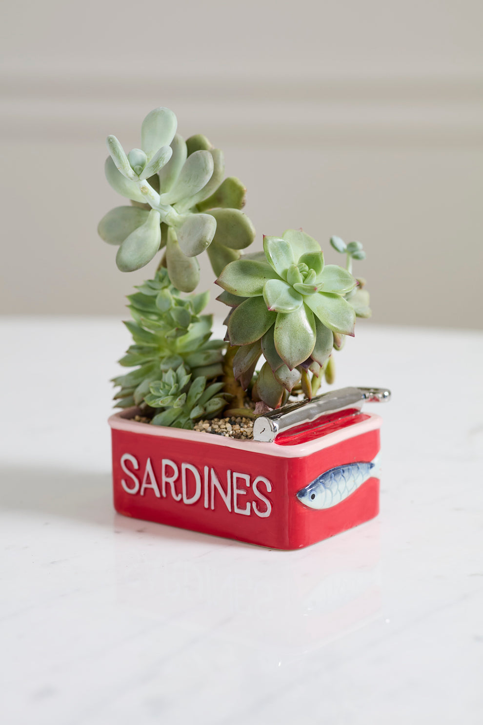 Sardine Tin Planter Set of 4 By Accent Decor | Planters, Troughs & Cachepots | Modishstore - 8