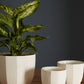 Bona Pot Set of 8 By Accent Decor | Planters, Troughs & Cachepots | Modishstore - 6