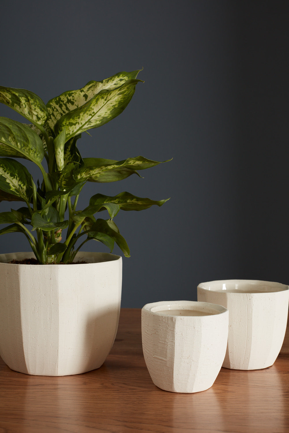 Bona Pot Set of 8 By Accent Decor | Planters, Troughs & Cachepots | Modishstore - 6