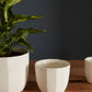 Bona Pot Set of 8 By Accent Decor | Planters, Troughs & Cachepots | Modishstore - 8
