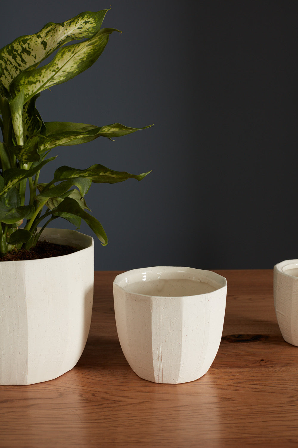 Bona Pot Set of 8 By Accent Decor | Planters, Troughs & Cachepots | Modishstore - 8