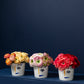 Expressions Collection Set of 4 By Accent Decor | Planters, Troughs & Cachepots | Modishstore - 6