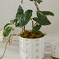 Elemental Pot Set of 8 By Accent Decor | Planters, Troughs & Cachepots | Modishstore - 7