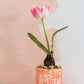Happy Easter Pot Set of 4 By Accent Decor | Planters, Troughs & Cachepots | Modishstore - 6