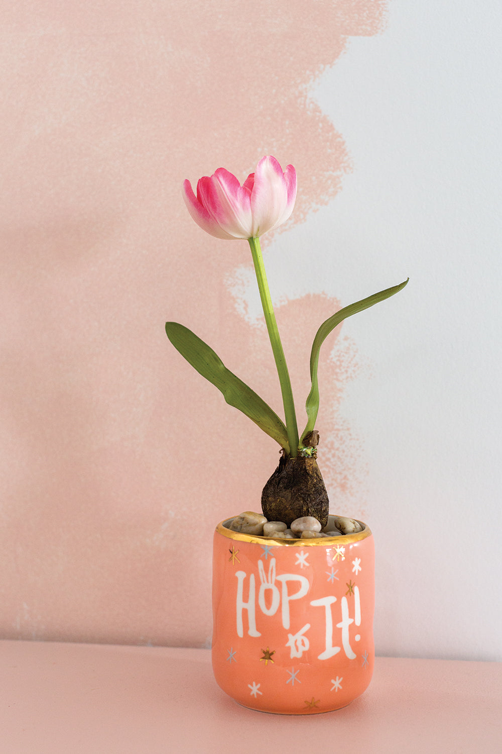 Happy Easter Pot Set of 4 By Accent Decor | Planters, Troughs & Cachepots | Modishstore - 6
