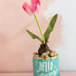 Happy Easter Pot Set of 4 By Accent Decor | Planters, Troughs & Cachepots | Modishstore - 8
