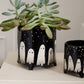 Boo Collection Set of 4 By Accent Decor | Planters, Troughs & Cachepots | Modishstore - 7