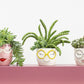 Fab Pot Set of 4 By Accent Decor | Planters, Troughs & Cachepots | Modishstore - 10