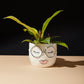 Fab Pot Set of 4 By Accent Decor | Planters, Troughs & Cachepots | Modishstore - 12