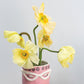 Fab Pot Set of 4 By Accent Decor | Planters, Troughs & Cachepots | Modishstore - 16