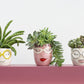 Fab Pot Set of 4 By Accent Decor | Planters, Troughs & Cachepots | Modishstore - 17
