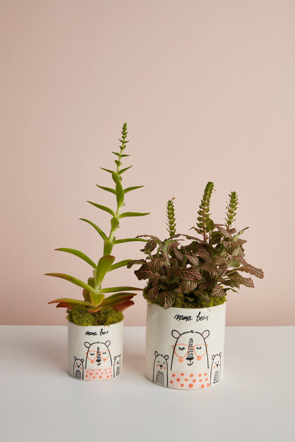 Mama Bear Collection Set of 8 By Accent Decor | Planters, Troughs & Cachepots | Modishstore - 5