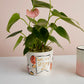 Matriarch Pot Set of 4 By Accent Decor | Planters, Troughs & Cachepots | Modishstore - 4