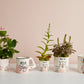 Matriarch Pot Set of 4 By Accent Decor | Planters, Troughs & Cachepots | Modishstore - 5