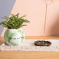 One and Only Earth Pot Set of 4 By Accent Decor | Planters, Troughs & Cachepots | Modishstore - 4