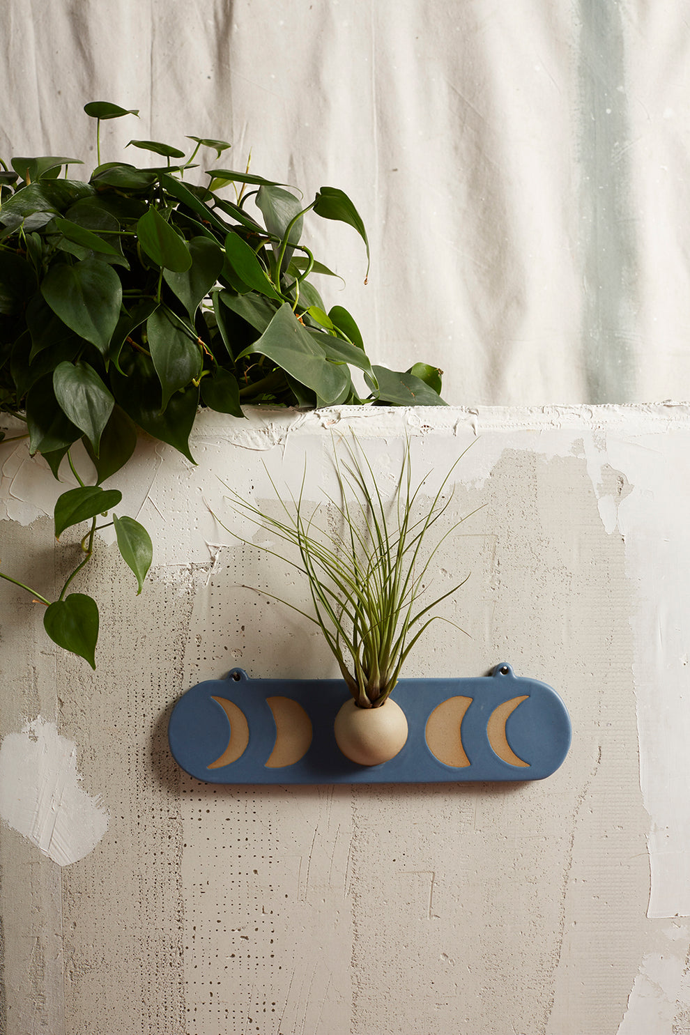 Moon Wall Mount Set of 4 By Accent Decor | Wall Decor | Modishstore - 4