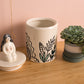 Amari Cannister Set of 2 By Accent Decor | Jars & Canisters | Modishstore - 6
