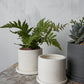 Easton Pot Set of 8 By Accent Decor | Planters, Troughs & Cachepots | Modishstore - 7