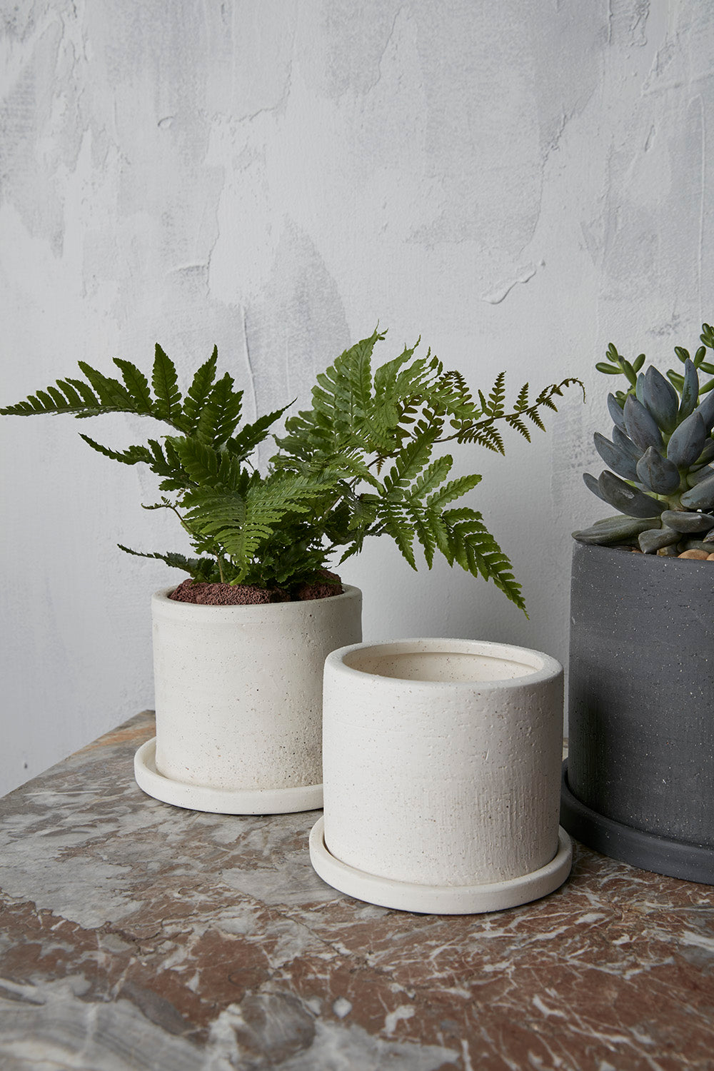Easton Pot Set of 8 By Accent Decor | Planters, Troughs & Cachepots | Modishstore - 7
