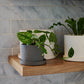 Easton Pot Set of 8 By Accent Decor | Planters, Troughs & Cachepots | Modishstore - 23