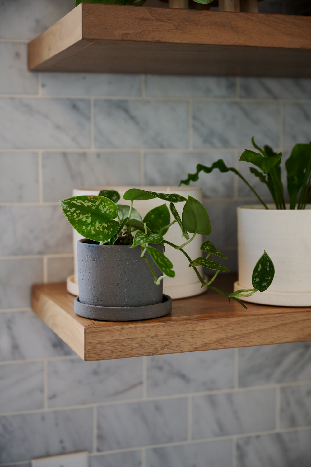 Easton Pot Set of 8 By Accent Decor | Planters, Troughs & Cachepots | Modishstore - 23