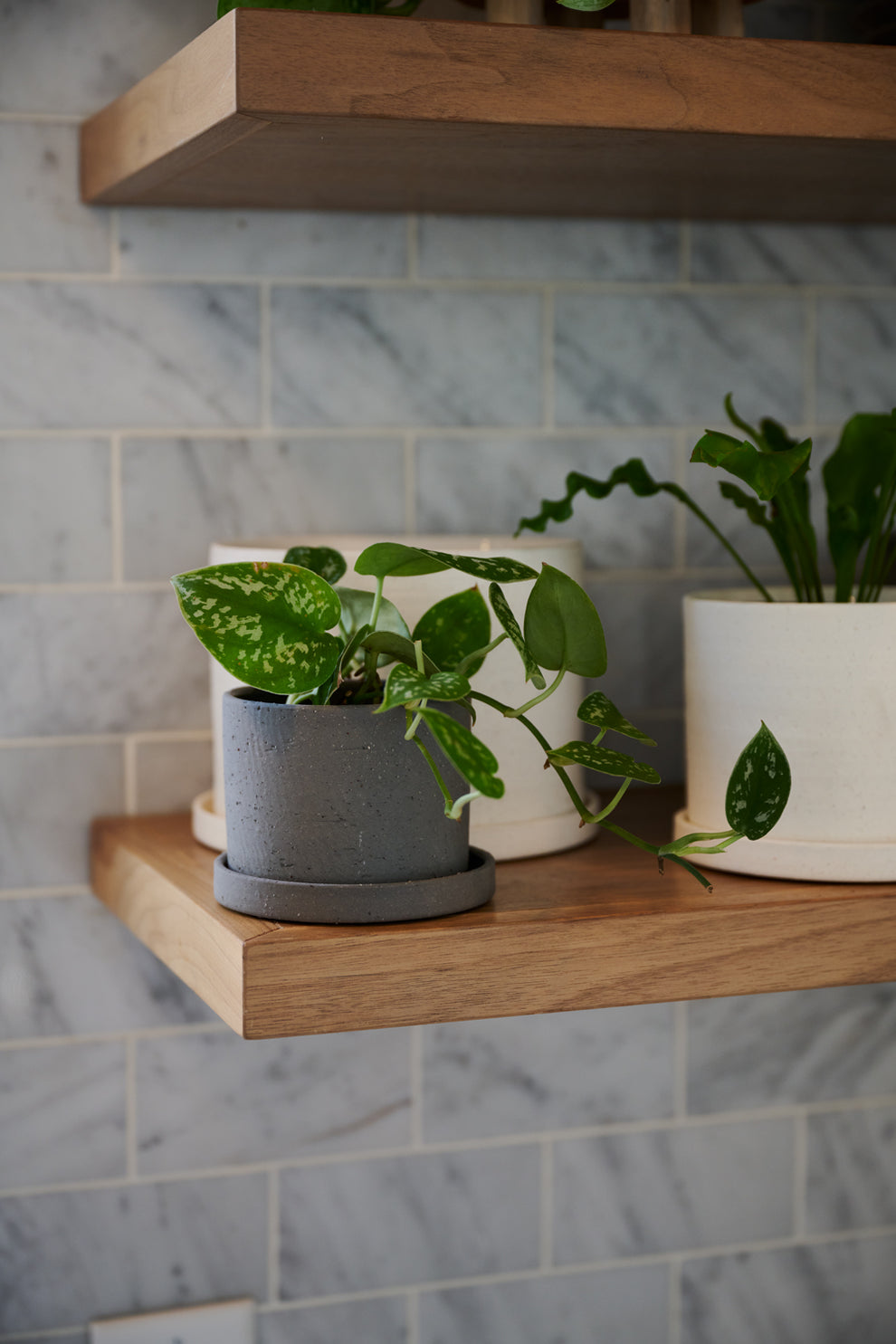 Easton Pot Set of 8 By Accent Decor | Planters, Troughs & Cachepots | Modishstore - 23