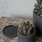 Easton Pot Set of 8 By Accent Decor | Planters, Troughs & Cachepots | Modishstore - 24