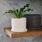Easton Pot Set of 8 By Accent Decor | Planters, Troughs & Cachepots | Modishstore - 10