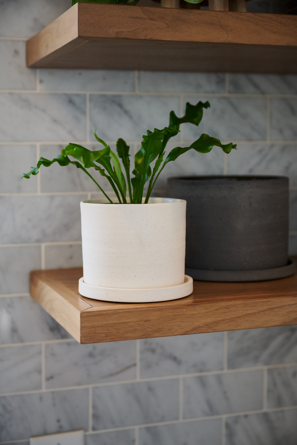 Easton Pot Set of 8 By Accent Decor | Planters, Troughs & Cachepots | Modishstore - 10