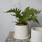 Easton Pot Set of 8 By Accent Decor | Planters, Troughs & Cachepots | Modishstore - 11