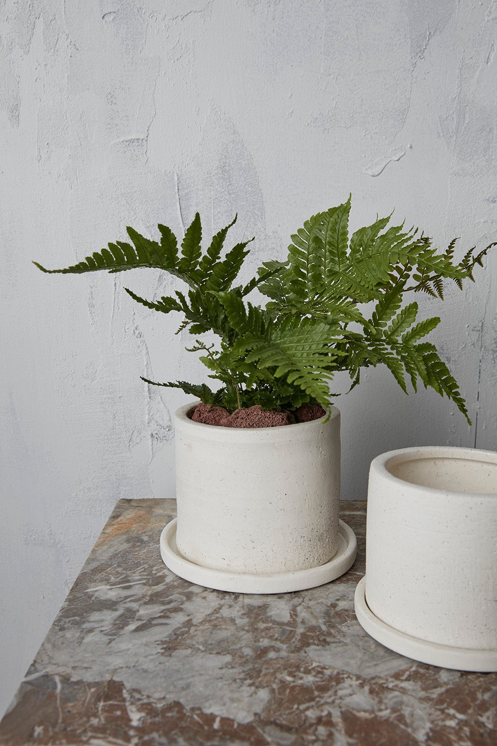 Easton Pot Set of 8 By Accent Decor | Planters, Troughs & Cachepots | Modishstore - 11