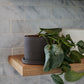Easton Pot Set of 8 By Accent Decor | Planters, Troughs & Cachepots | Modishstore - 14