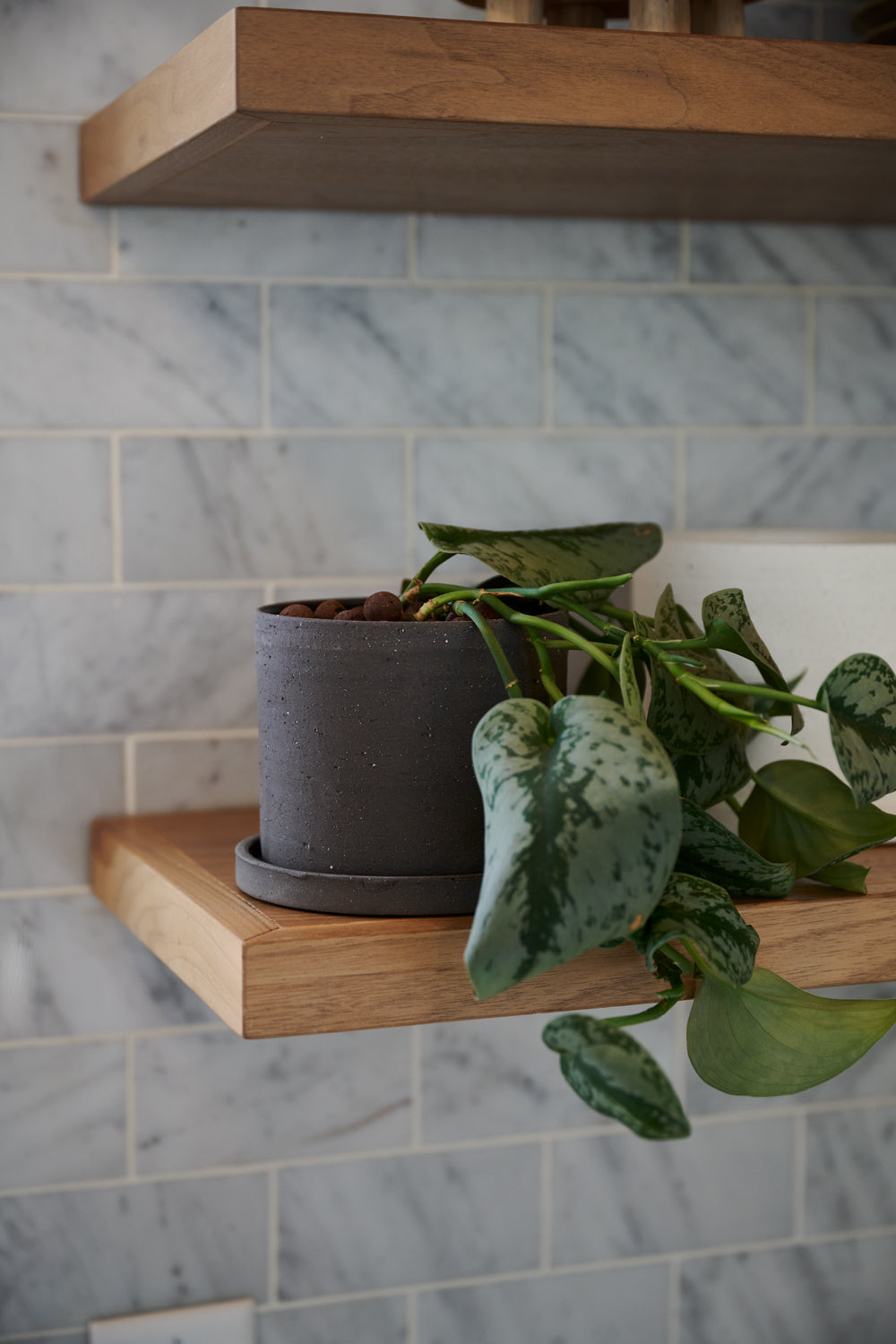 Easton Pot Set of 8 By Accent Decor | Planters, Troughs & Cachepots | Modishstore - 14