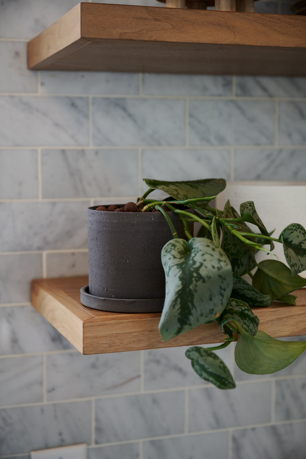 Easton Pot Set of 8 By Accent Decor | Planters, Troughs & Cachepots | Modishstore - 14