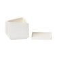 Tevy Pot Set of 2 By Accent Decor | Planters, Troughs & Cachepots | Modishstore - 5