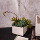 Tevy Pot Set of 2 By Accent Decor | Planters, Troughs & Cachepots | Modishstore - 7