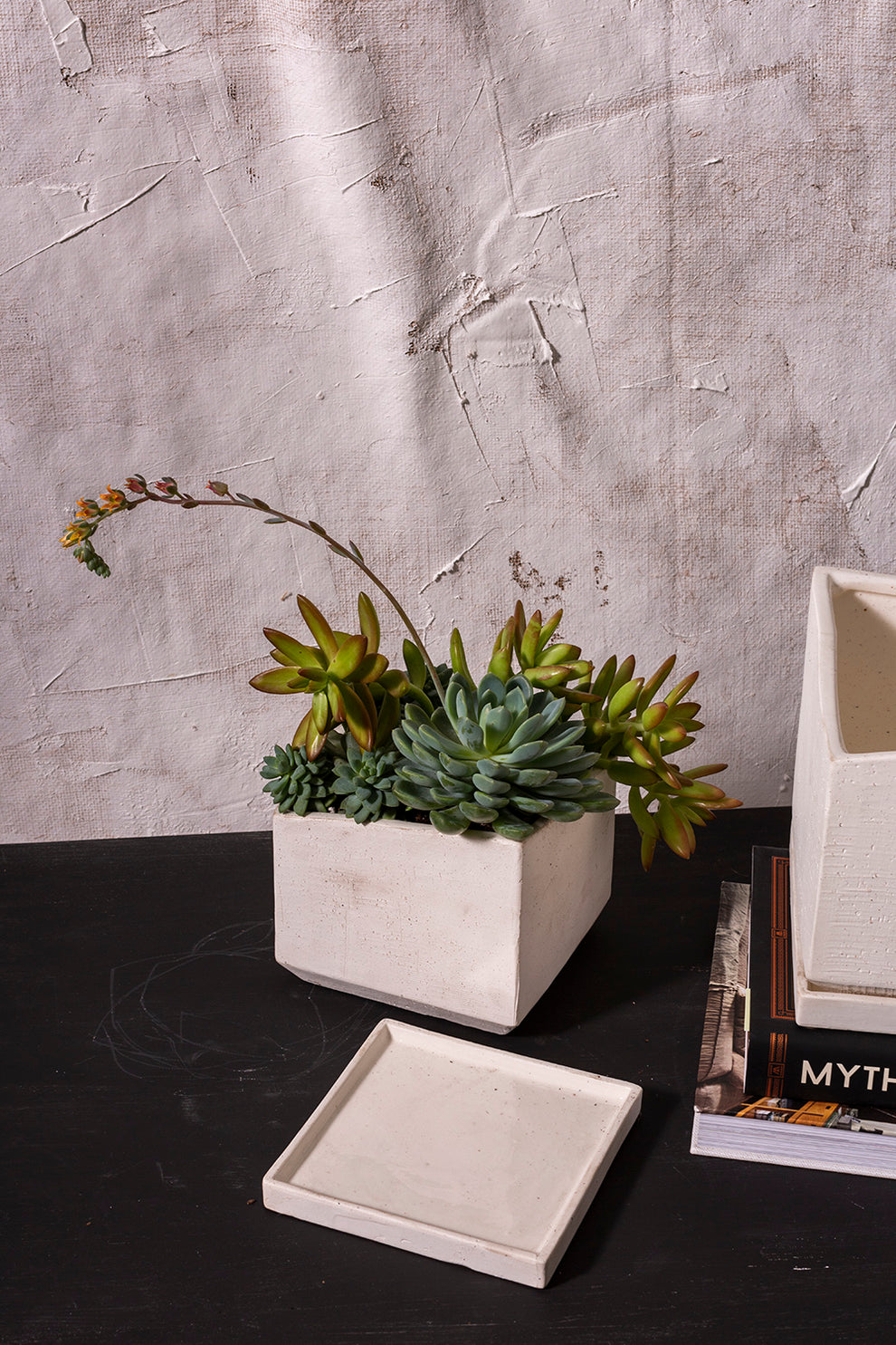 Tevy Pot Set of 2 By Accent Decor | Planters, Troughs & Cachepots | Modishstore - 7