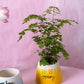 Easter Cheer Pot Set of 4 By Accent Decor | Planters, Troughs & Cachepots | Modishstore - 9