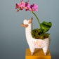 Fuzzy Feelings Collection Set of 4 By Accent Decor | Planters, Troughs & Cachepots | Modishstore - 6