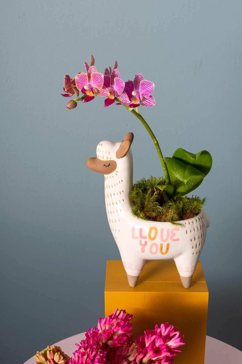 Fuzzy Feelings Collection Set of 4 By Accent Decor | Planters, Troughs & Cachepots | Modishstore - 6