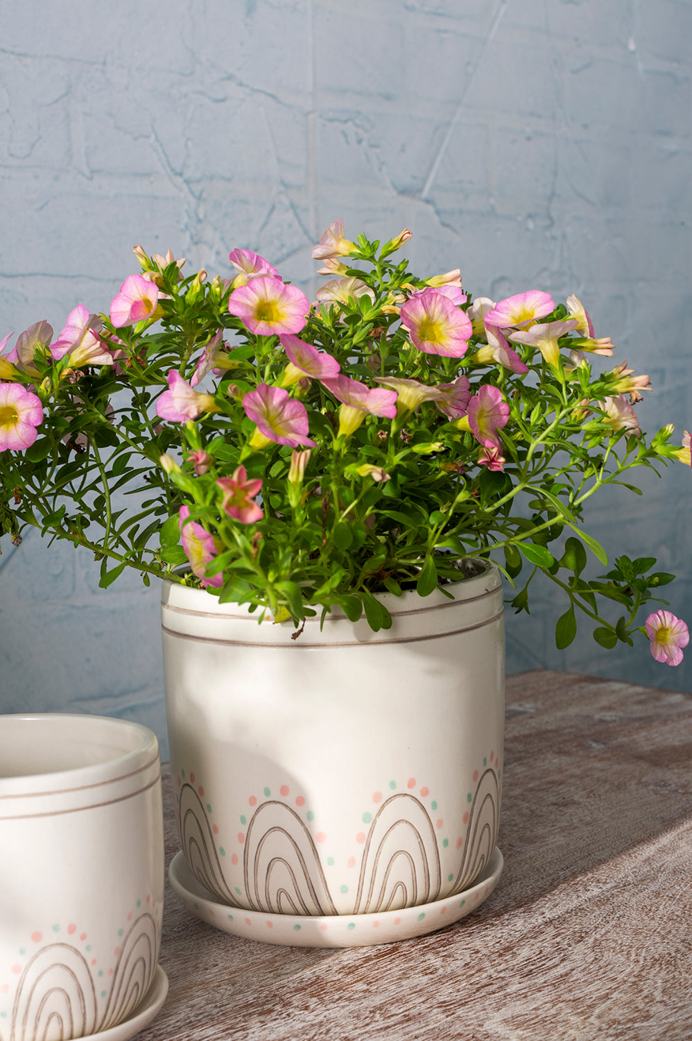 Rise and Shine Pot Set of 4 By Accent Decor | Planters, Troughs & Cachepots | Modishstore - 10