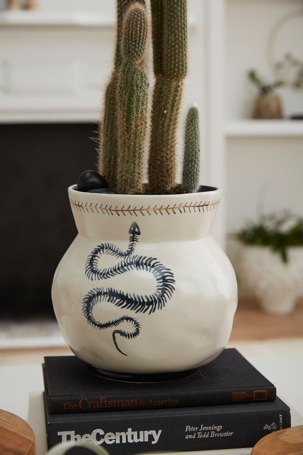Sinuous Collection By Accent Decor | Stands | Modishstore - 14