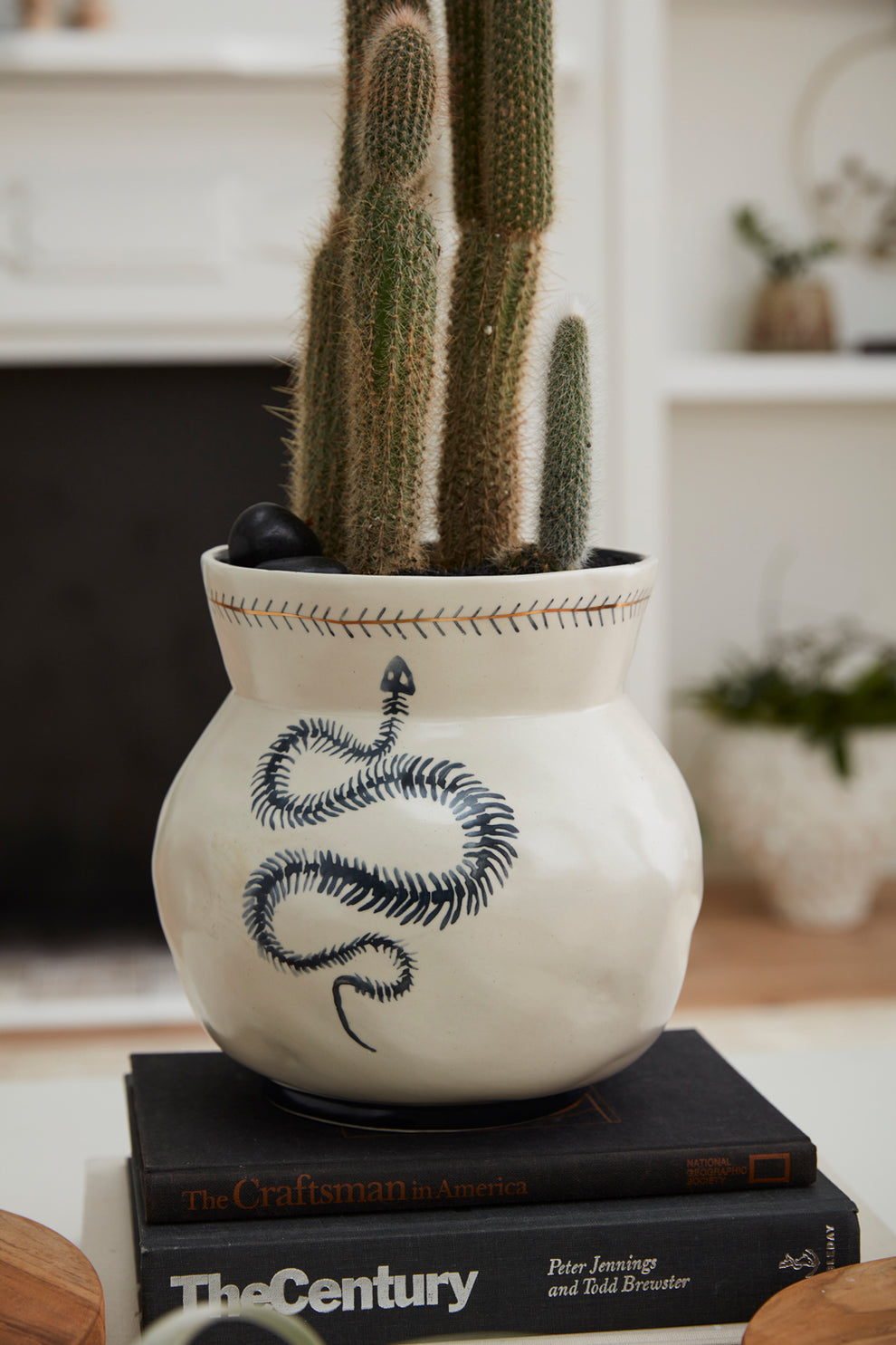 Sinuous Collection By Accent Decor | Stands | Modishstore - 14