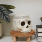 Occipital Sculpture Set of 2 By Accent Decor | Sculptures | Modishstore - 4