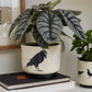 Corvus Pot Set of 4 By Accent Decor | Planters, Troughs & Cachepots | Modishstore - 7